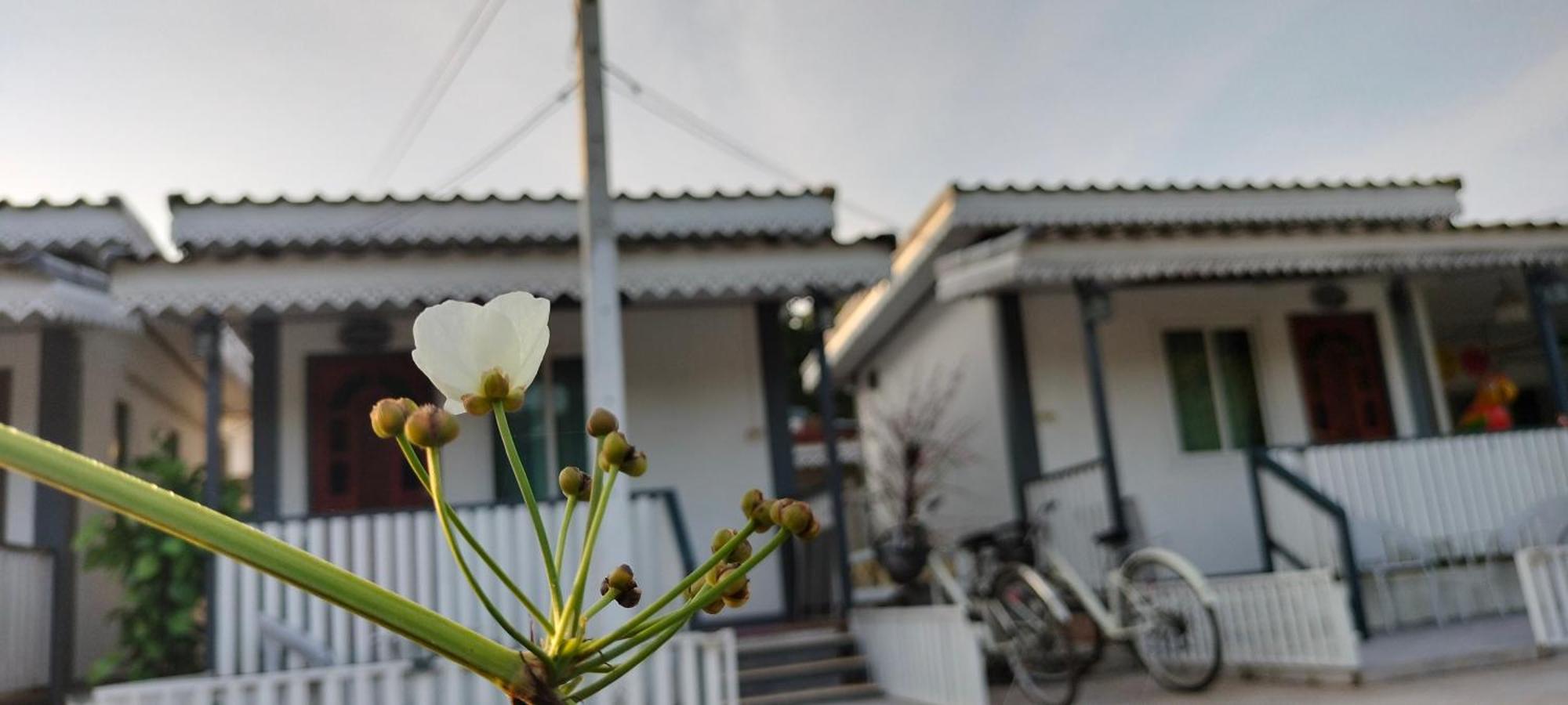 素可泰 Moat View酒店 外观 照片
